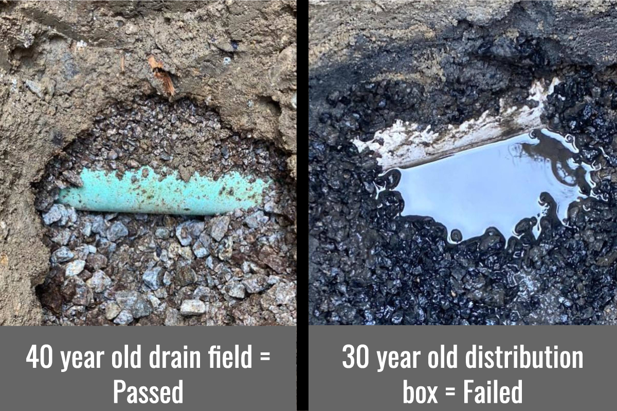 Drain Field comparison for title 5 inspection by grants septic techs